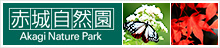赤城自然園