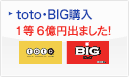 toto・BIG購入