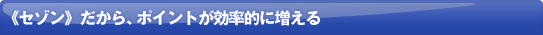 �Z�]���t������A�|�C���g�������I�ɑ�����