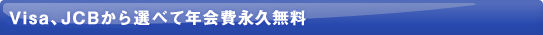 VISA�AJCB����I�ׂĔN���i�v����