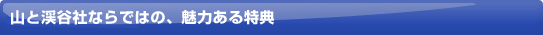 �R�Ɵ�J�J�[�h�s�Z�]���t�̂��g�N�ȓ��T