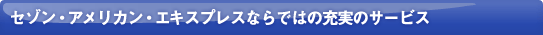 �Z�]���E�A�����J���E�G�L�X�v���X�Ȃ�ł͂̏[���̃T�[�r�X