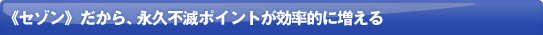 �s�Z�]���t������A�i�v�s�Ń|�C���g�������I�ɑ�����
