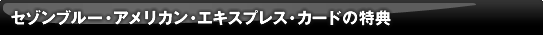 �Z�]���u���[�E�A�����J���E�G�L�X�v���X�E�J�[�h�̓��T