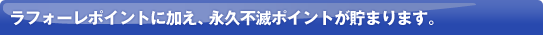 �s�Z�]���t�i�v�s�Ń|�C���g���t�H�[���|�C���g�ɉ����A�s�Z�]���t�i�v�s�Ń|�C���g�����܂�܂��B