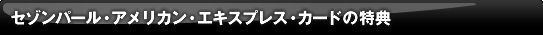 �s�Z�]���t�J�[�h�C���^�[�i�V���i�� �A�����J���E�G�L�X�v���X�E�J�[�h�̓��T
