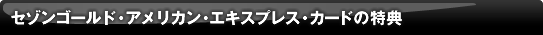 �Z�]���S�[���h�E�A�����J���E�G�L�X�v���X�E�J�[�h�̓��T