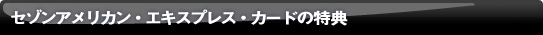 �Z�]���A�����J���E�G�L�X�v���X�E�J�[�h�̓��T