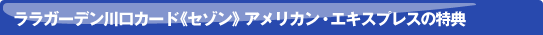�����K�[�f������J�[�h�s�Z�]���t �A�����J���E�G�L�X�v���X�̓��T