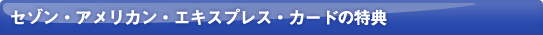 �C���^�[�i�V���i���E�A�����J���E�G�L�X�v���X�E�J�[�h�^�v���~�A�E�A�����J���E�G�L�X�v���X�E�J�[�h�̓��T