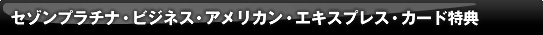 �Z�]���v���`�i�E�r�W�l�X�E�A�����J���E�G�L�X�v���X�E�J�[�h���T