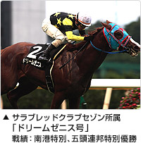 サラブレッドクラブセゾン所属「ドリームゼニス号」戦績：南港特別、五頭連邦特別イメージ