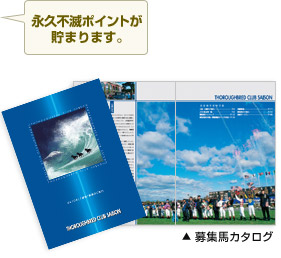 永久不滅ポイントが貯まります。募集馬カタログイメージ