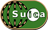 Suica