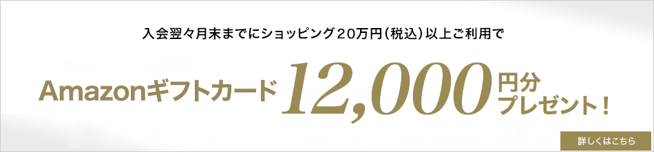 永久不滅ポイントプレゼント