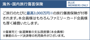 海外・国内旅行傷害保険