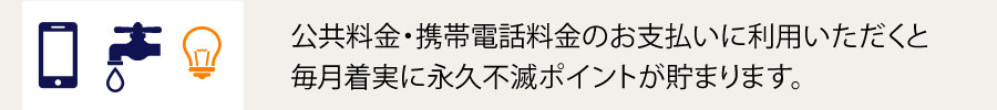 公共料金・携帯電話料金のお支払いに利用いただくと毎月着実に永久不滅ポイントが貯まります。