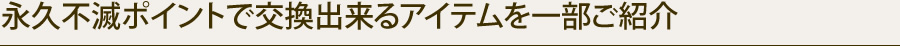 永久不滅ポイントで交換出来るアイテムを一部ご紹介