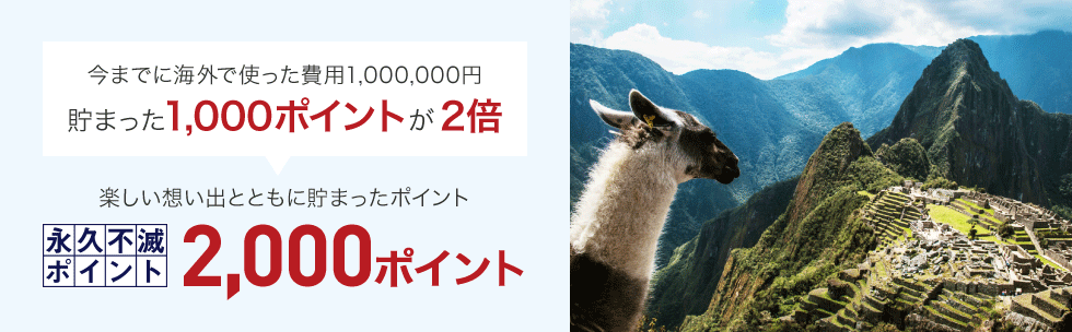 今までに海外で使った費用1,000,000円貯まった1,000ポイントが2倍楽しい想い出とともに貯まったポイント永久不滅ポイント2,000ポイント