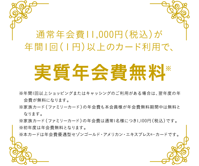 通常年会費11,000円(税込)が年間1回以上のカードご利用で、実質無料