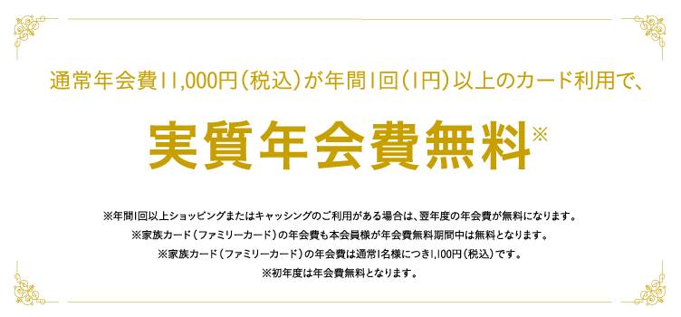 通常年会費11,000円(税込)が年間1回以上のカードご利用で、実質無料