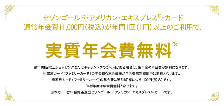 通常年会費11,000円(税込)が年間1回以上のカードご利用で、実質無料