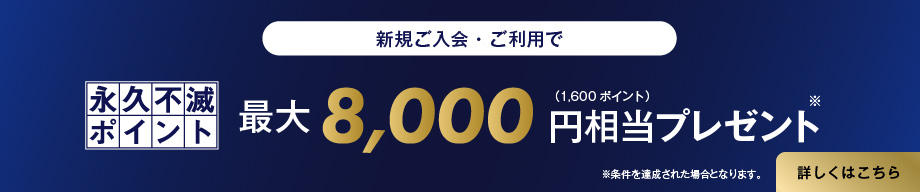 永久不滅ポイント最大8,000円相当をプレゼント