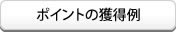 ポイントの獲得例