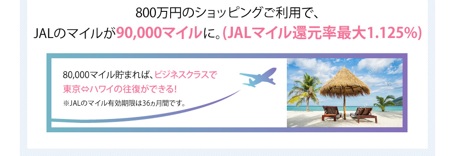 例）800万円ショッピングでご利用になった場合