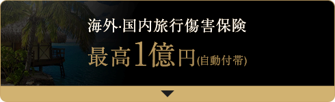 海外・国内旅行傷害保険最高1億円(自動付帯)