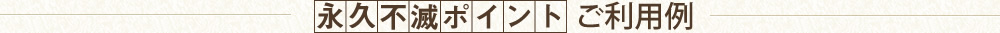 永久不滅ポイントご利用例