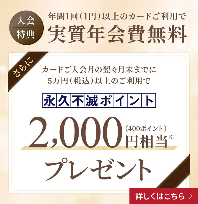 キャンペーン情報