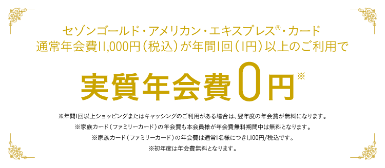 通常年会費11,000円(税込)が年間1回以上のカードご利用で、実質無料