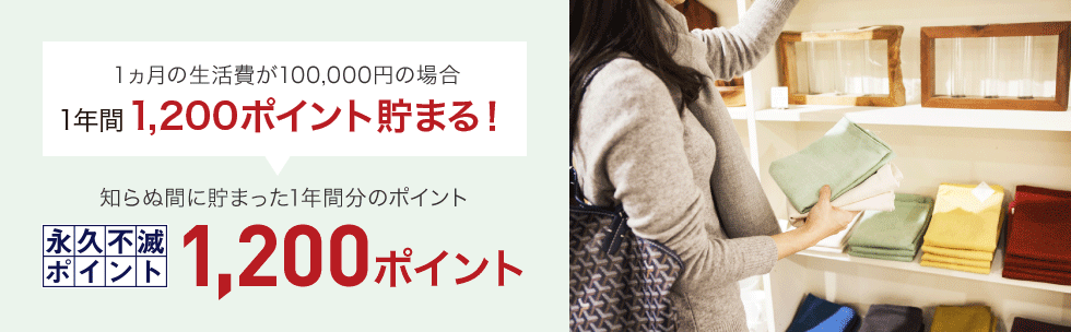 １ヵ月の生活費が100,000円の場合1年間1,000ポイント貯まる！知らぬ間に貯まった1年間分のポイント1,200ポイント