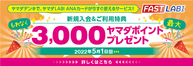 ヤマダLABI ANAカード 新規ご入会＆ご利用キャンペーン - 詳しくはこちら -