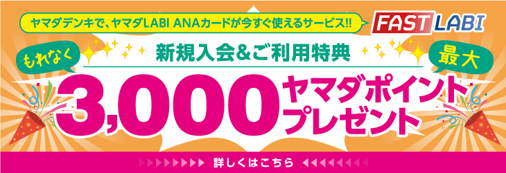 ヤマダLABI ANAカード 新規ご入会＆ご利用キャンペーン - 詳しくはこちら -