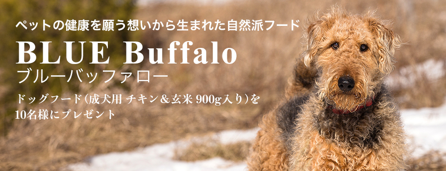 ペットの健康を願う想いから生まれた自然派フード 「BLUE Buffalo（ブルーバッファロー）」ドッグフード（成犬用 チキン＆玄米 900g入り）を10名様にプレゼント