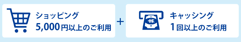 ショッピング5,000円以上のご利用＋キャッシング1回以上のご利用