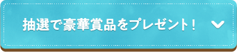 抽選で豪華商品をプレンゼント