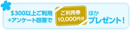 ＄300以上ご利用＋アンケート回答でご利用券10,000円分ほかプレゼント！