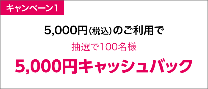 合計5,000円(税込)のご利用で抽選で100名様5,000円キャッシュバック