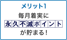 メリット1 毎月着実に永久不滅ポイントが貯まる!