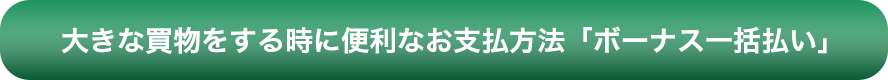 大きな買い物をする時に便利なお支払い方法「ボーナス一括払い」