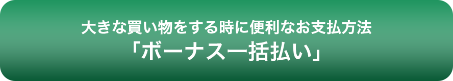 大きな買い物をする時に便利なお支払い方法「ボーナス一括払い」