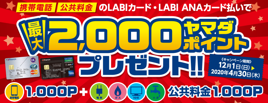 携帯電話・公共料金のカード払いで、ヤマダポイント最大2,000ポイントプレゼント！