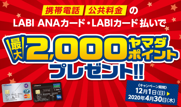 携帯電話・公共料金のカード払いで、ヤマダポイント最大2,000ポイントプレゼント！