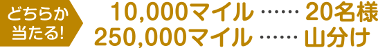 10,000マイル…20名様、250,000マイル…山分け　どちらか当たる！