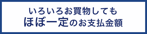 いろいろお買物してもほぼ一定のお支払金額