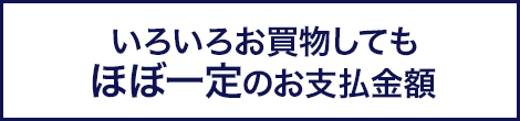 いろいろお買物してもほぼ一定のお支払金額