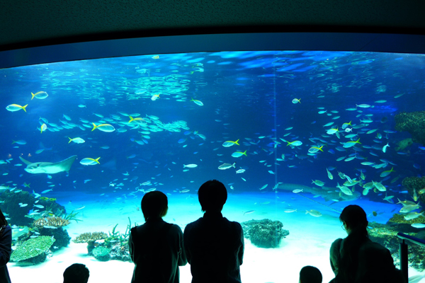 サンシャイン 水族館